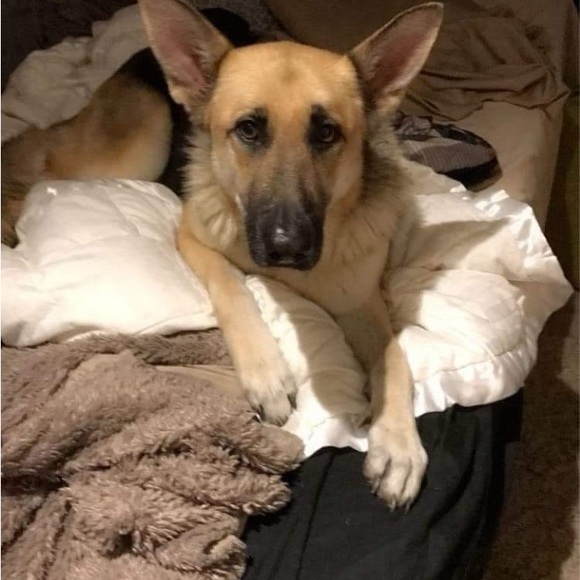 Meet your Posher, Jamie - Picture 4 of 4